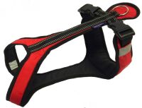 Harnais Zero DC court